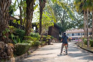LK_019 LK_019
