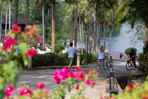 LK_023 LK_023